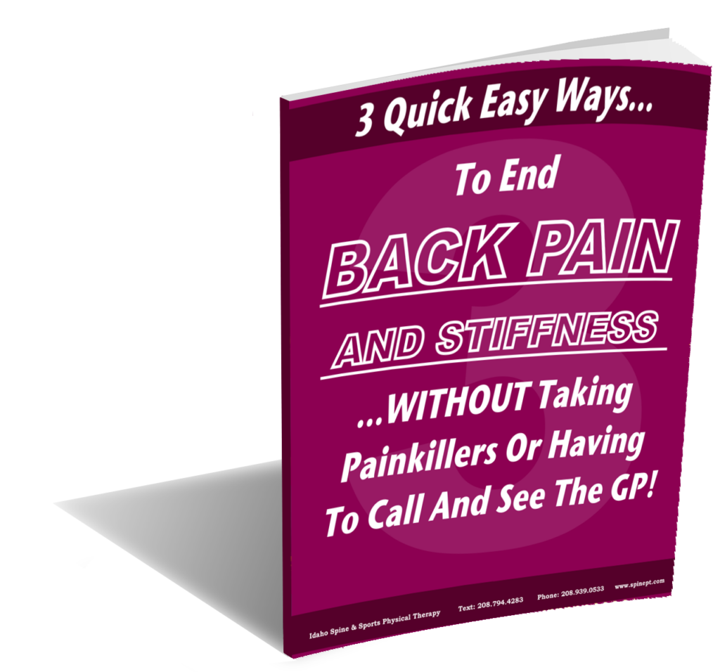Ebook For Back Pain Pain Relief